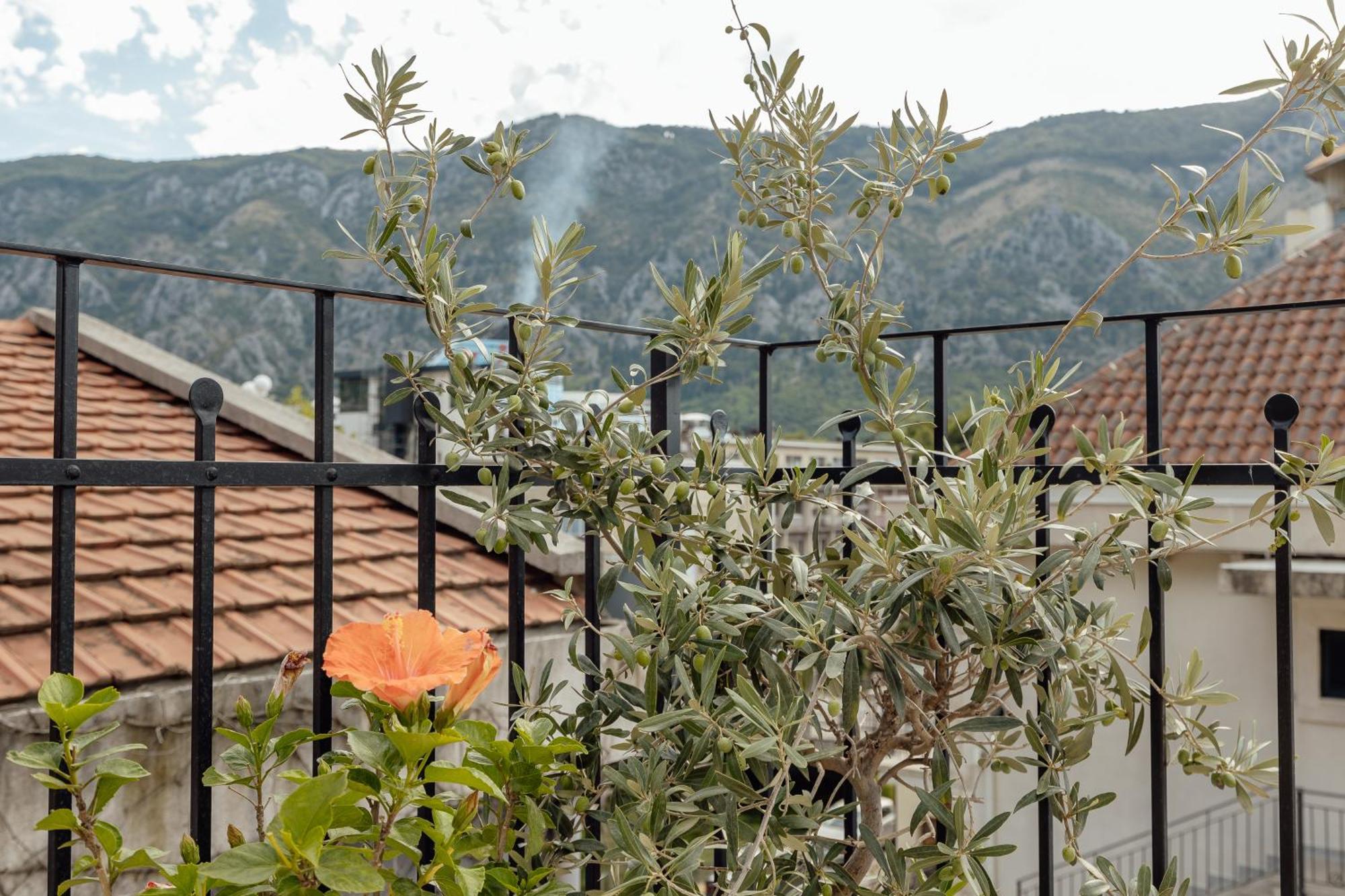 Kotor Central Point Eksteriør bilde